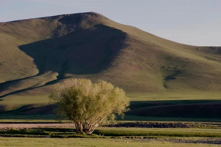 MONGOLIA MONGOLIA
